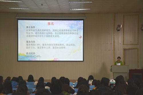 beat365中文官方网站召开2019届毕业生就业指导会